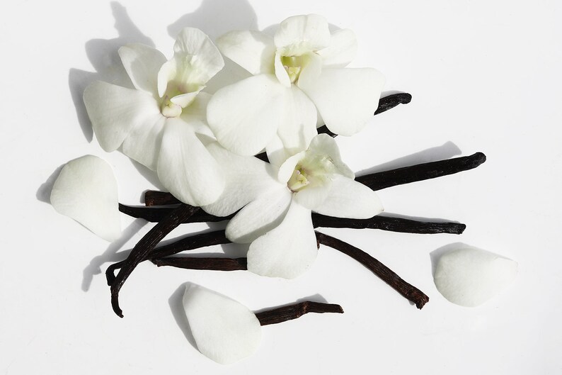 Cashmere Vanilla Fragrance Oil for DIY Candle and Diffuser Etsy