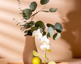 tranquil tonka & sweet sandalwood™ fragrance oil