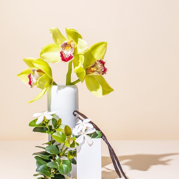 Sheer Vanilla & Orchid™ Fragrance Oil