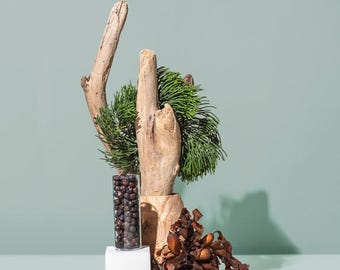 Driftwood Juniper Fragrance Oil for Candles, Soap & Coastal Home Fragrance