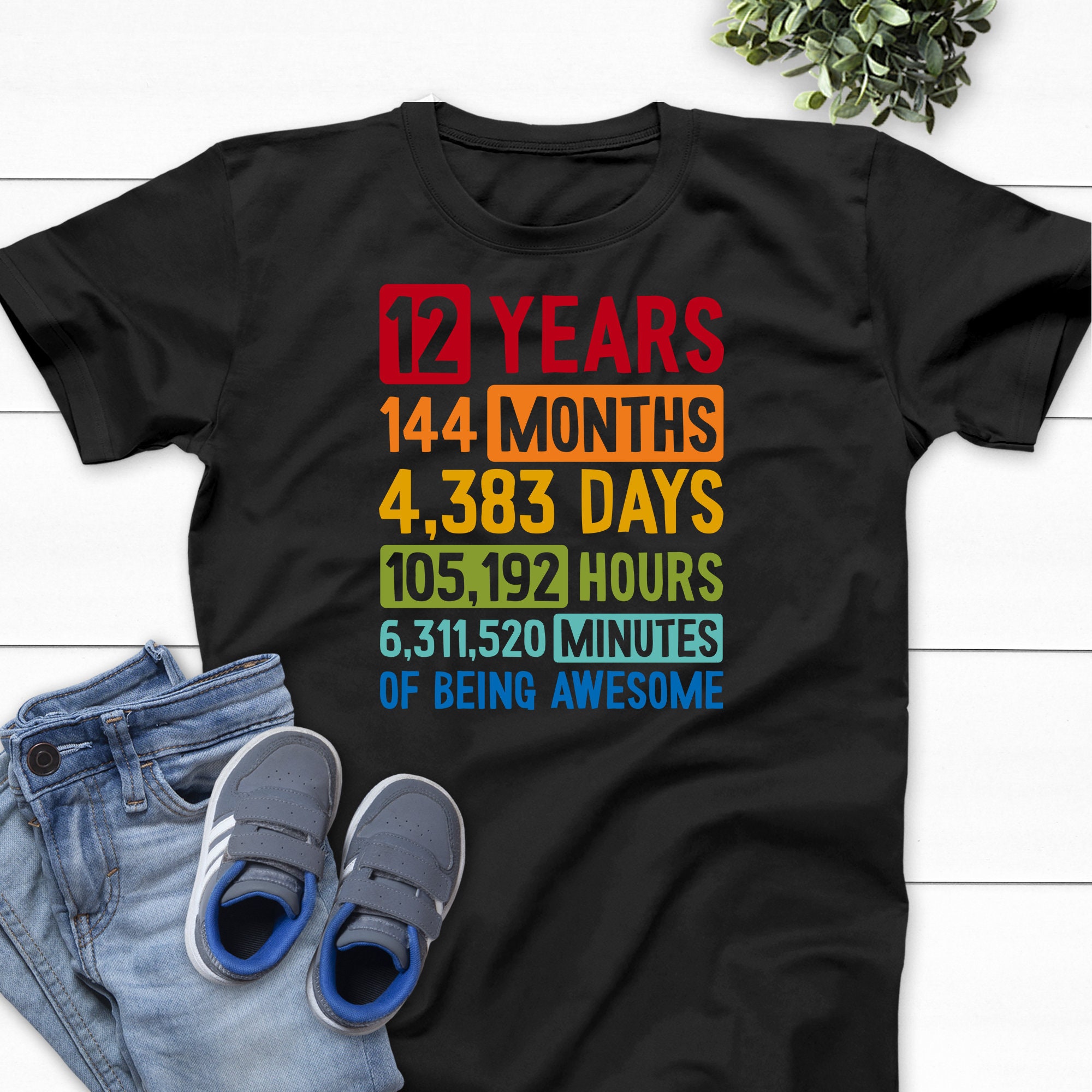 12th Birthday Shirt Boy Birthday Shirt for 12 Year Old Boy Etsy