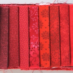 Könnte beinhalten: Eine Sammlung von zehn roten Stoffstreifen mit verschiedenen Mustern, darunter Punkte, Blumenmuster und geometrische Formen.