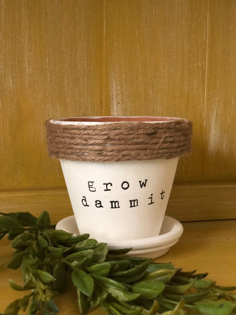 Grow Dammit Pot Planter Pots Indoor Planters Humorous Gifts Etsy
