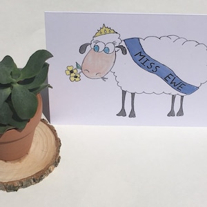 Miss Ewe (Vous)
