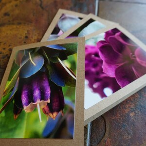 Lilac and Fuchsia - Folded Photo Cards