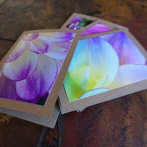 Pink Passion - Folded Photo Cards