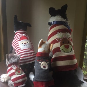 Portland Puppy Gear Christmas Sweaters