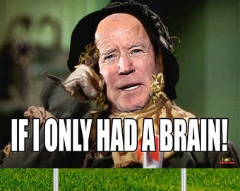 Only Had a Brain | Etsy