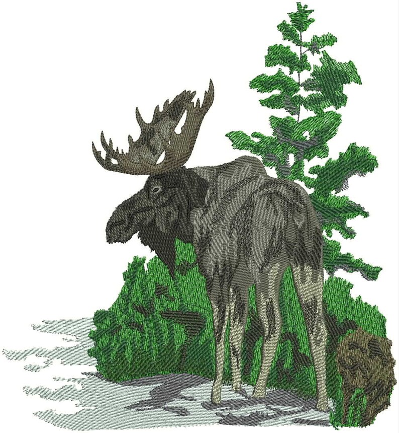 Custom Embroidery Digitizing/machine Embroidery Etsy