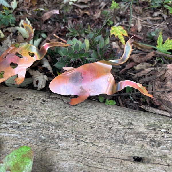 Bare Copper Frogs Garden Art Pond Landscape