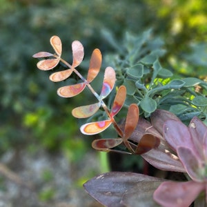 Rainbow Patina Copper Large Fern Plant Stake - Garden Art Decor