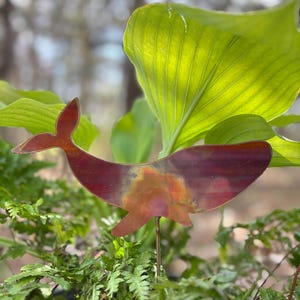 May include: A metal whale garden stake with a reddish-brown finish. The whale is depicted in a stylized silhouette, with a tail and flipper. The stake is placed in a garden with green foliage and large leaves.