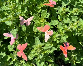 Small Copper Butterfly Bouquet: Garden Art Plant Stakes (Set of 6)