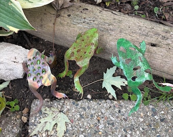 Frogs, The Woodlands Collection