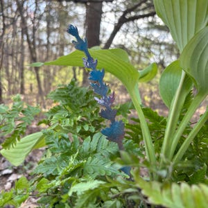 Woodlands Collection Long Stems Moss Fiddlehead Fern Azure Lavender Amber Leaf Branch