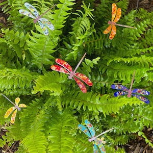 May include: A collection of colorful dragonfly metal garden stakes. The stakes are made of metal and have a variety of colors, including red, blue, yellow, and green. The stakes are arranged in a fern-like plant.