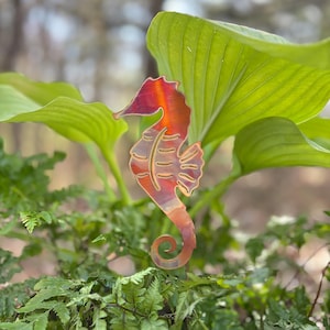 May include: A metal seahorse garden stake with a gradient of red, orange, and copper tones. The seahorse is positioned among green foliage, including large hosta leaves and ferns, creating a natural backdrop for the decorative piece.