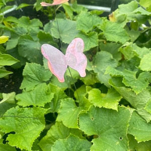 Copper Butterfly Bouquet: Metal Garden Art Plant Stakes, Set of 3
