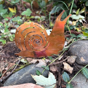 Natural Copper Snail