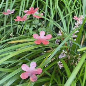 May include: Close-up of pink metal flowers with five petals each, scattered throughout a bed of green grass.