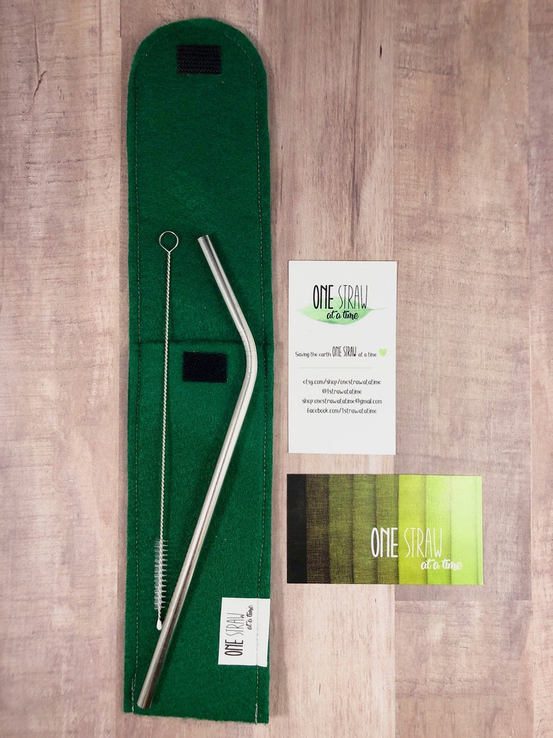 Green Felt Carry Case Cleaning Brush 8.5 inch Stainless Steel Reusable Straw