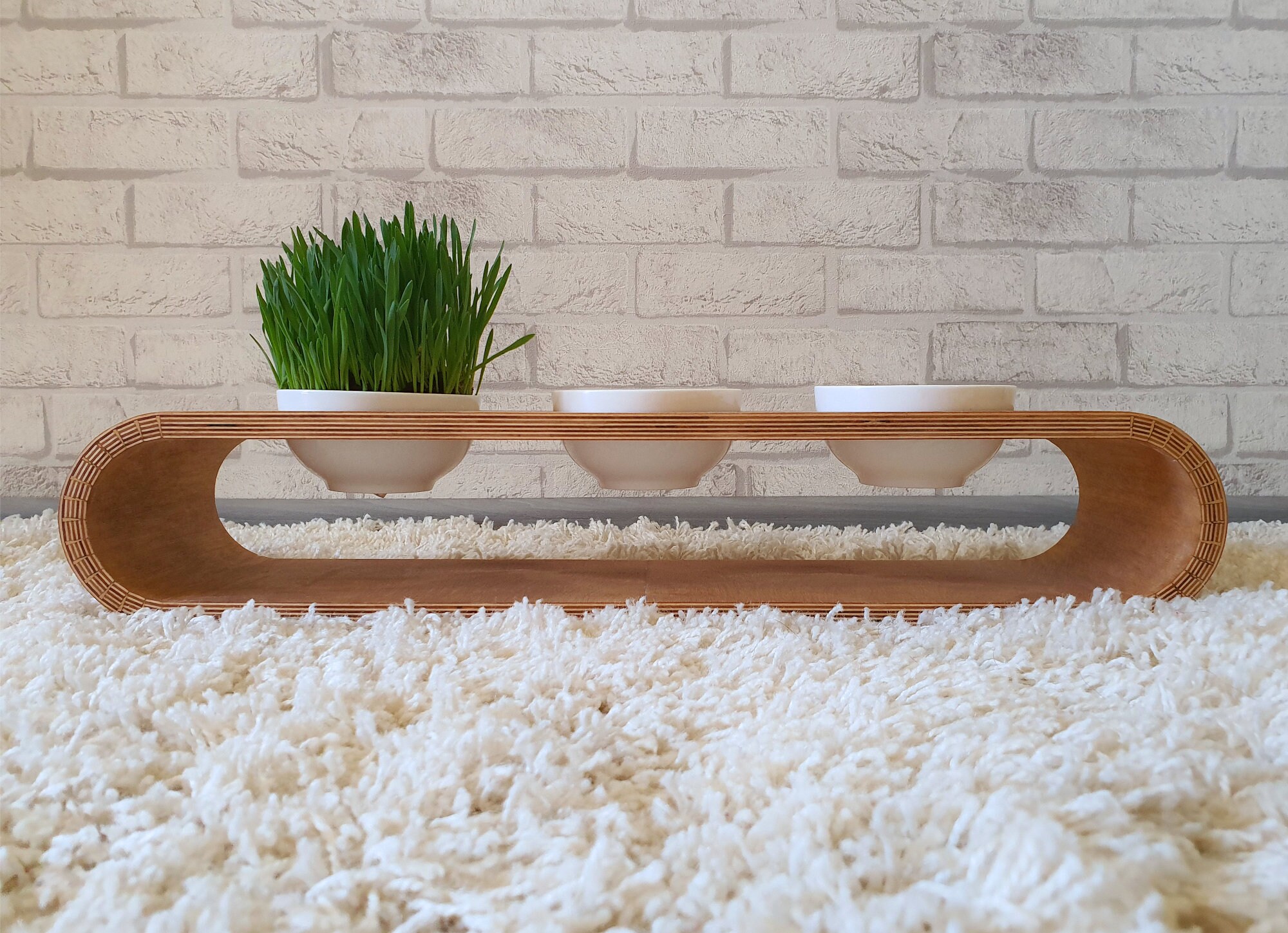 3 bowl cat feeding station