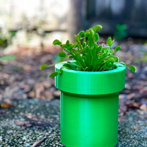 Super Mario Pipe Planter | Optional tray & Many Sizes!