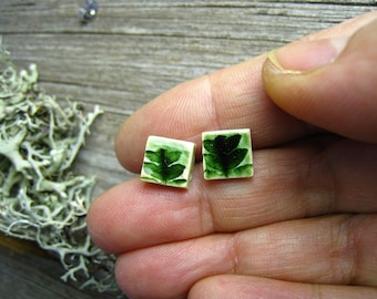 Ceramic plug dark green, celadon, square ceramic ear stud, stainless steel, plant pattern