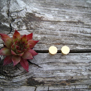 Shiny mini dot stud ear studs in gold, stainless steel