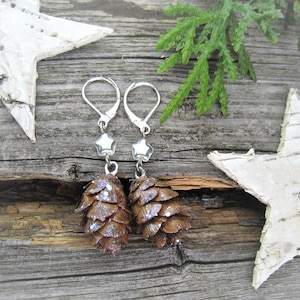 Small pine cone earrings, Christmas earrings made from real cones of Hemlock fir