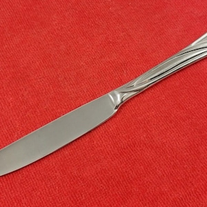 Dinner Knife ~ Glennbrook by Pfaltzgraff Stainless Flatware Silverware 9&quot;