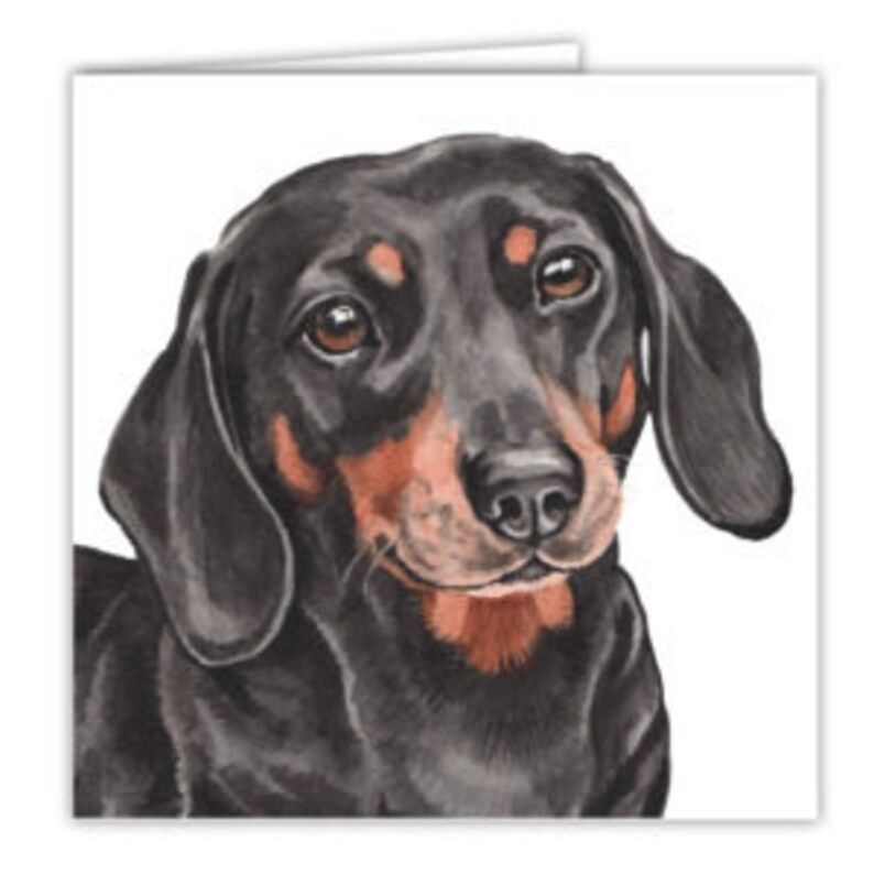 dog-cards-dachshund-dachshund-dog-cards-greeting-cards-etsy