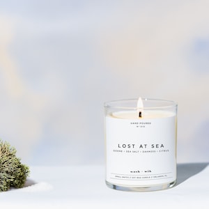 Vela de cera de soja Lost At Sea | Vela de cera de soja Beach House | Musgo de carvalho | Oceano | Sal marinho | Wash and Wik | Fragrância nº 010