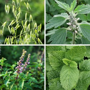 Elevate Tincture, Uplifting & Soothing, Mood Support