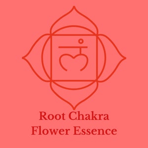 Root Chakra, Flower Essence Blend, Muladhara