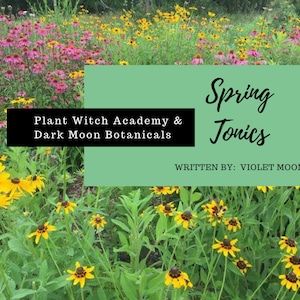 Spring Tonics PDF ebook