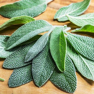May include: A bunch of fresh sage leaves on a wooden cutting board. The leaves are green and have a fuzzy texture.