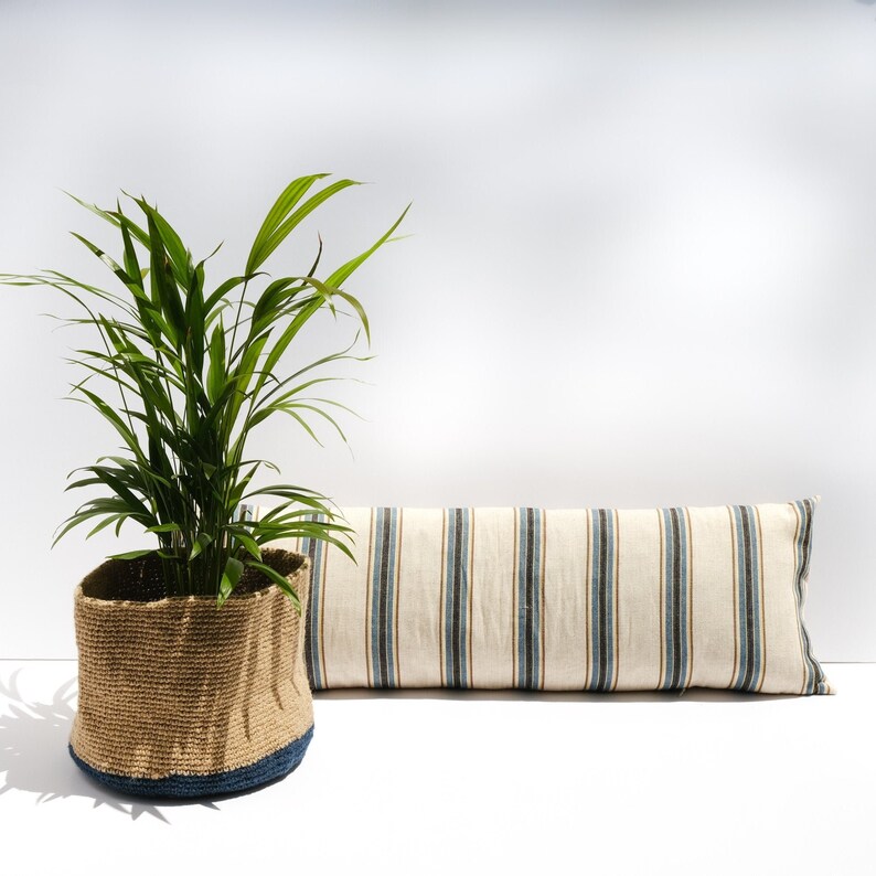 May include: A woven basket with a blue trim holds a green houseplant. A striped pillow with blue and beige stripes is in the background.