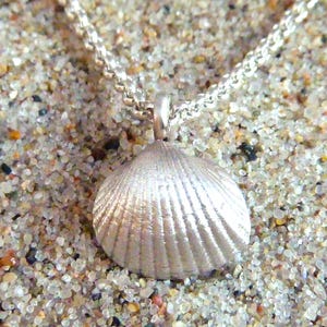 Muschel Anhänger, Silber 925, ohne Kette, MA38
