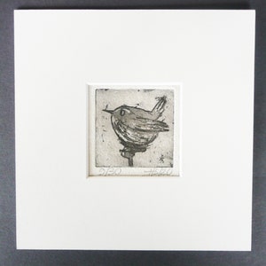 Könnte beinhalten: Eine Schwarzweiß-Radierung eines Vogels, der auf einem Ast sitzt. Die Radierung ist in einem weißen Passepartout gerahmt und trägt die Nummern 9/30 und 15/30, die unten rechts gedruckt sind.