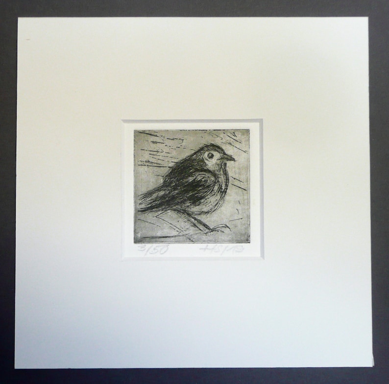 Etching astonished bird with passepartout etching gravure aquaforte
