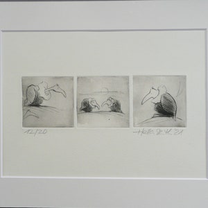 Etching with passe-partout "a lousy day" comical vultures