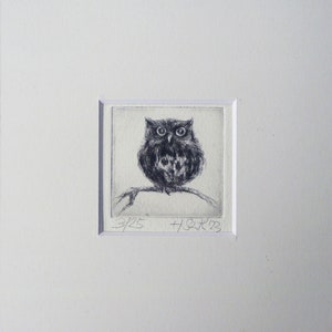 Etching with passepartout "Owlet" miniature small picture owl