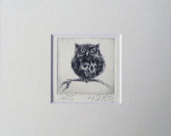 Etching with passepartout "Owlet" miniature small picture owl