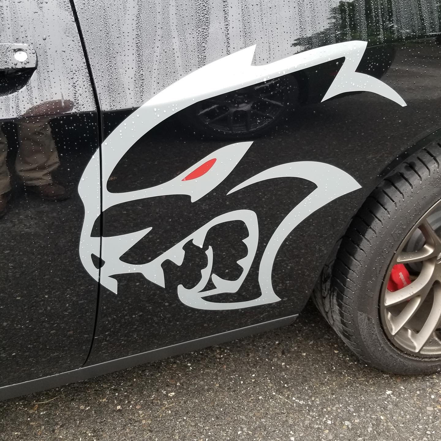 1 24 hellcat decals