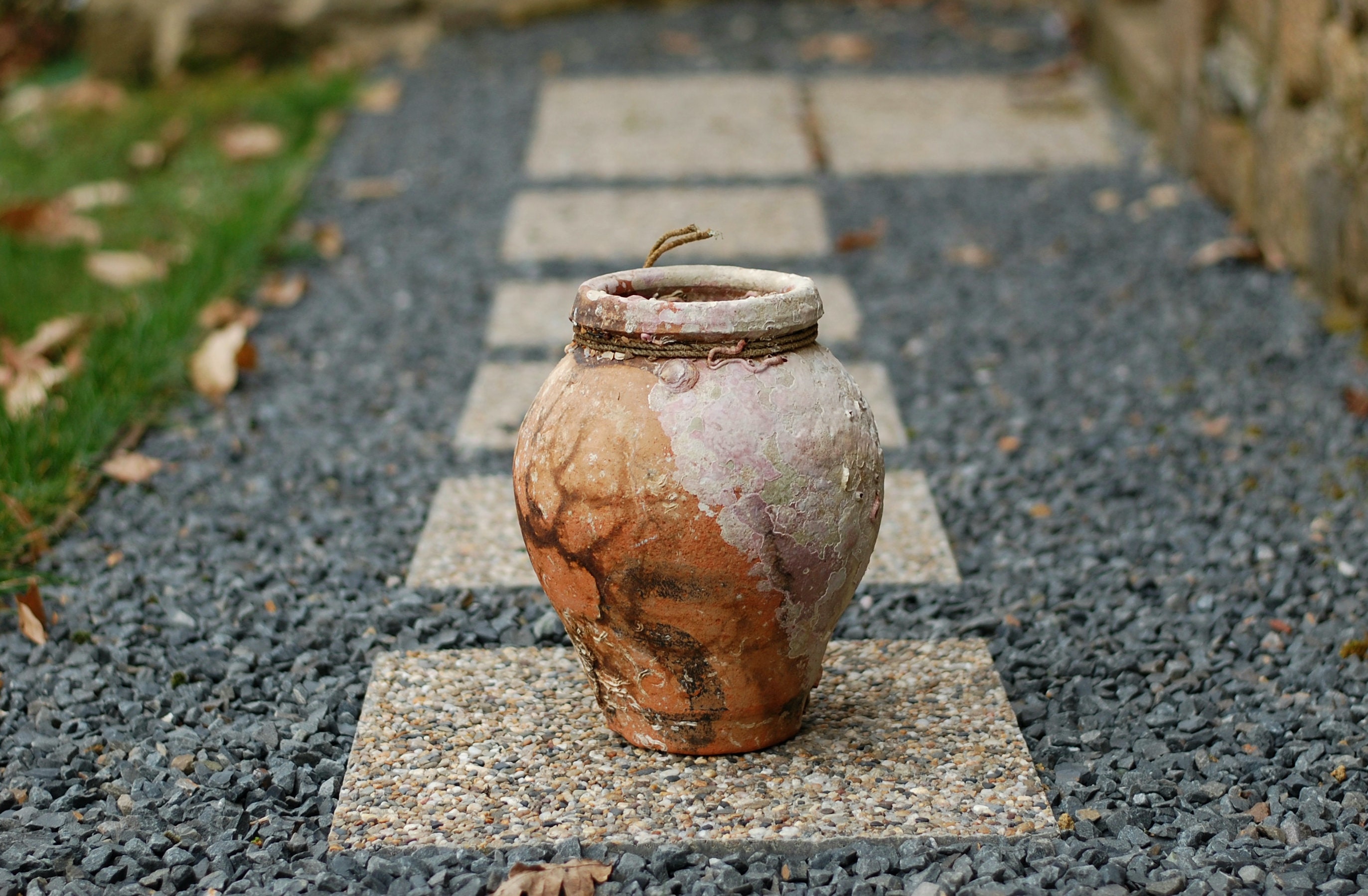 Pot d'argile Antique Pot de Poterie Jug Sous-Marin Corail et Coquillage Vase Incrusté Octopus Trap P