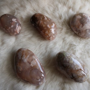 Large Flower Agate Palmstone
