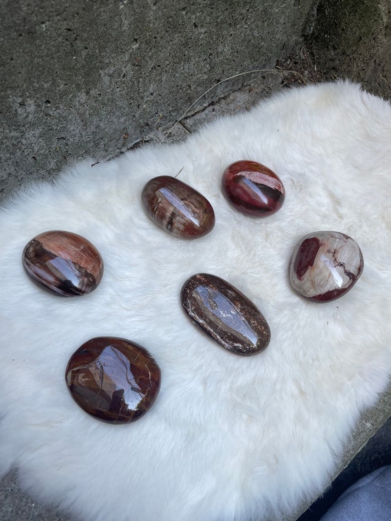 M Petrified wood palmstone