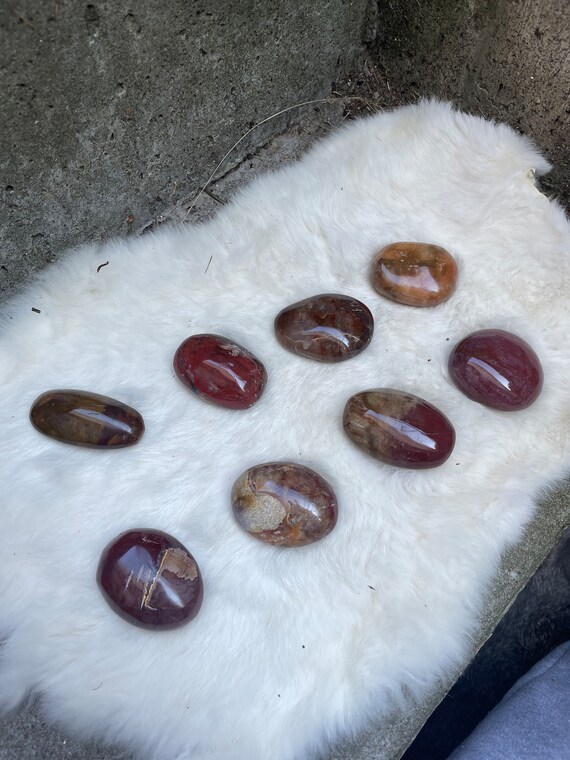 S Petrified wood palmstone