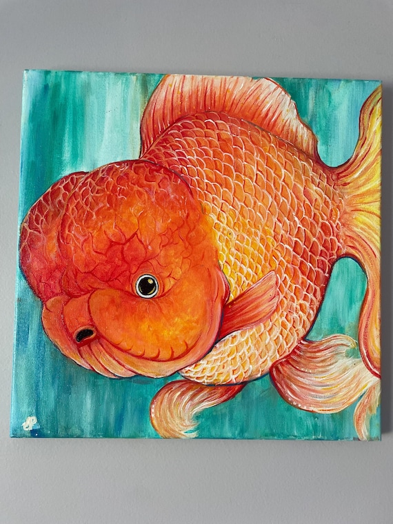 The Lionhead Goldfish by Elli poitras